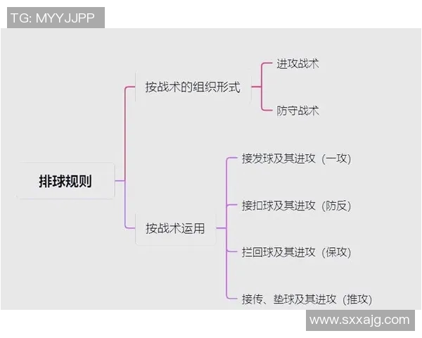 杭州排球队的战术控制解析与未来发展展望