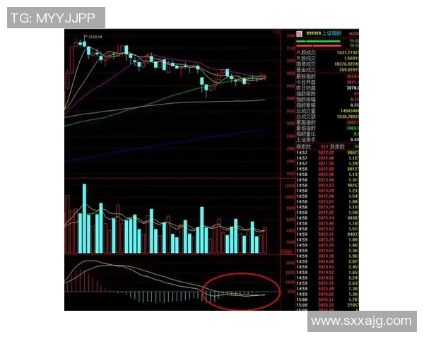 深圳篮球队与广州篮球队赛后复盘分析比赛节奏与战术对决