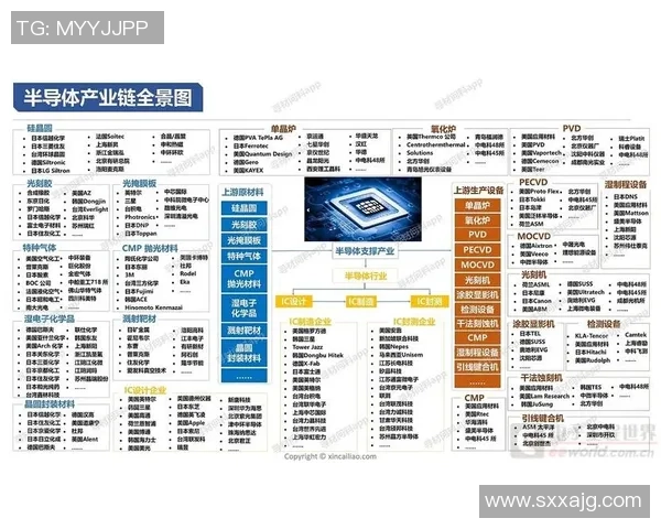 广州乒乓球队转型之路的挑战与机遇全景解析