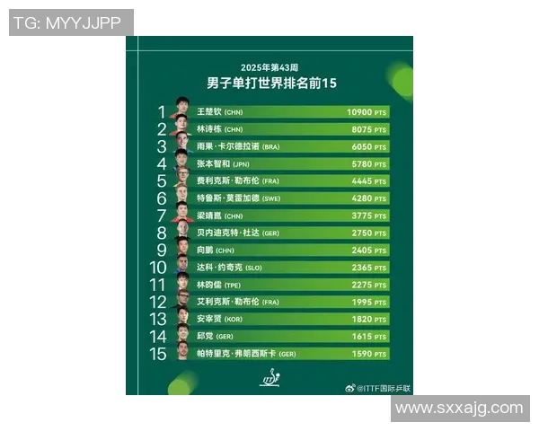 权威发布乒乓球运动员力量实力排行榜揭晓引发热议