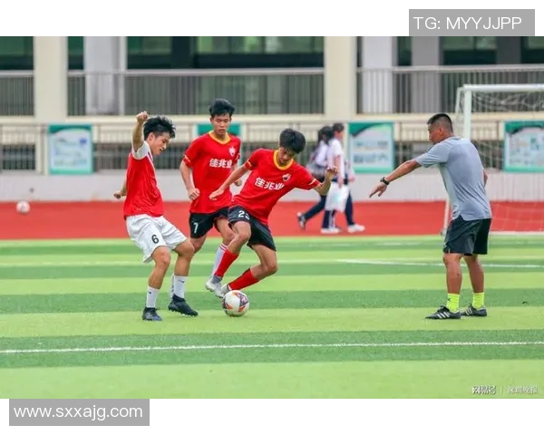 翠园中学足球明星的成长之路与辉煌成就揭秘