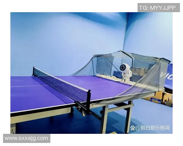 张秀英独家分享乒乓球技巧与心得体会助你提升球技的秘诀