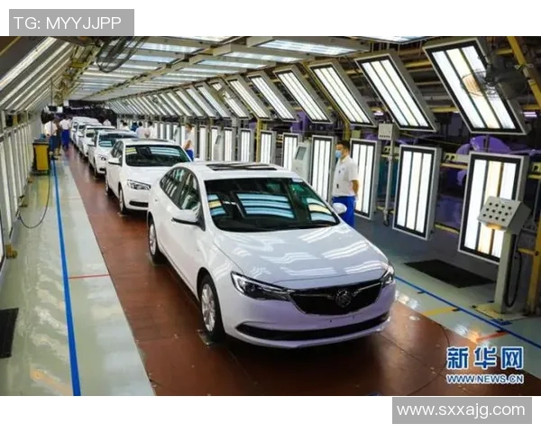 武汉排球队创新运营模式助力体育发展与品牌提升的全新探索