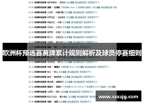 欧洲杯预选赛黄牌累计规则解析及球员停赛细则