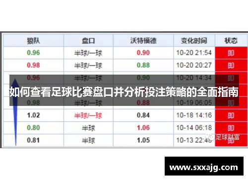 如何查看足球比赛盘口并分析投注策略的全面指南