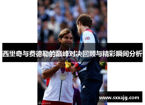 西里奇与费德勒的巅峰对决回顾与精彩瞬间分析
