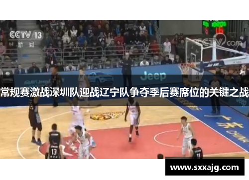 常规赛激战深圳队迎战辽宁队争夺季后赛席位的关键之战